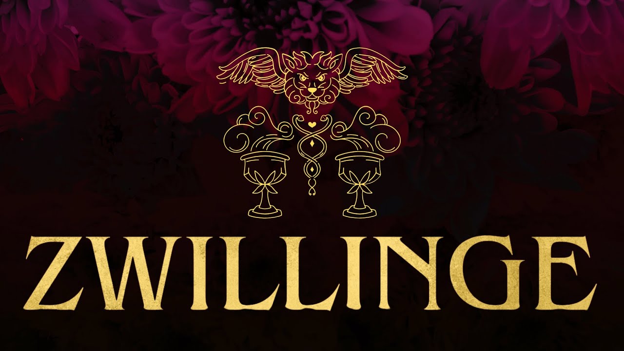 ⚔ ZWILLINGE ⚔  | LOVE | Kannst du es annehmen? Kampf um deine Gunst