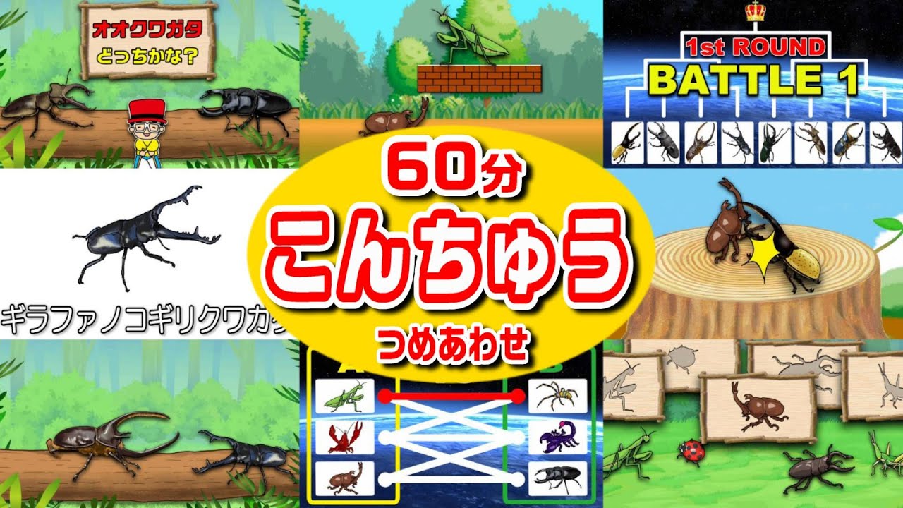 【こんちゅうアニメ】昆虫いろいろ60分！詰め合わせ1時間〈カブトムシvsクワガタ、ノコギリクワガタ、カマキリなど〉【insect beetle stag animation】昆虫・虫・名前・図鑑
