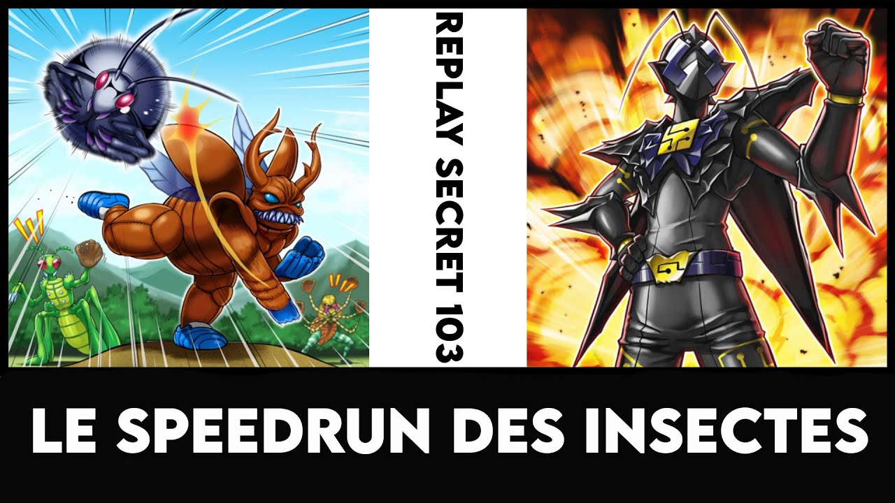 Replay Secret 103 : Le speedrun des insectes