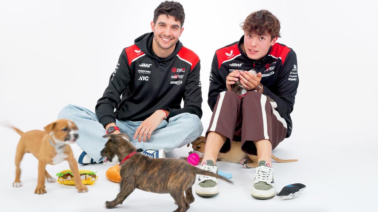 F1 Drivers Get Surprised With Puppies