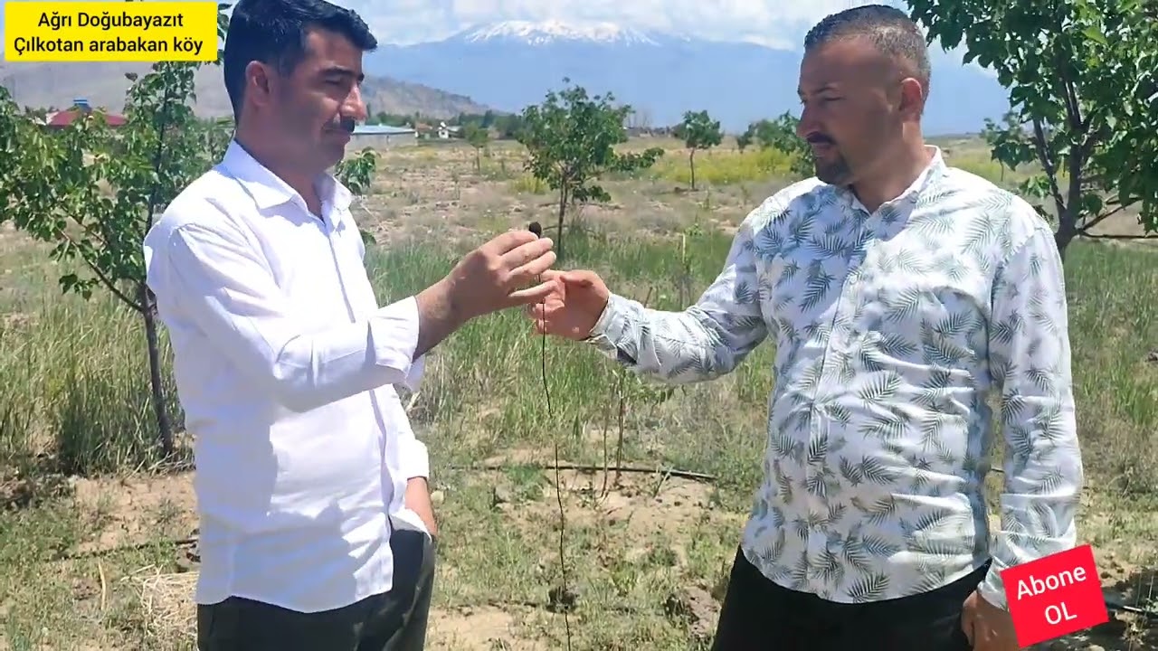 Ağrı Doğubayazıt çilkotan atabakan köyünde Mehmet sariboğa tarafından ağaç dikimi yapıldı