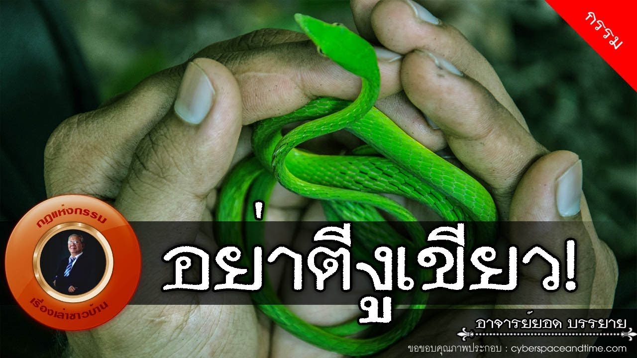 อาจารย์ยอด : อย่าตีงูเขียว! [กรรม] new
