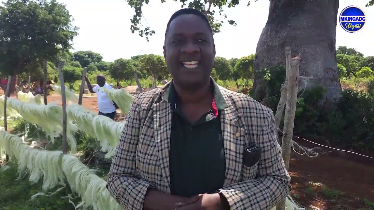 MKONGE NI DHAHABU YA KIJANI - DUVII FARM NA UKUZAJI WA ZAO LA MKONGE MKINGA , WAMSHUKURU DKT. SAMIA 