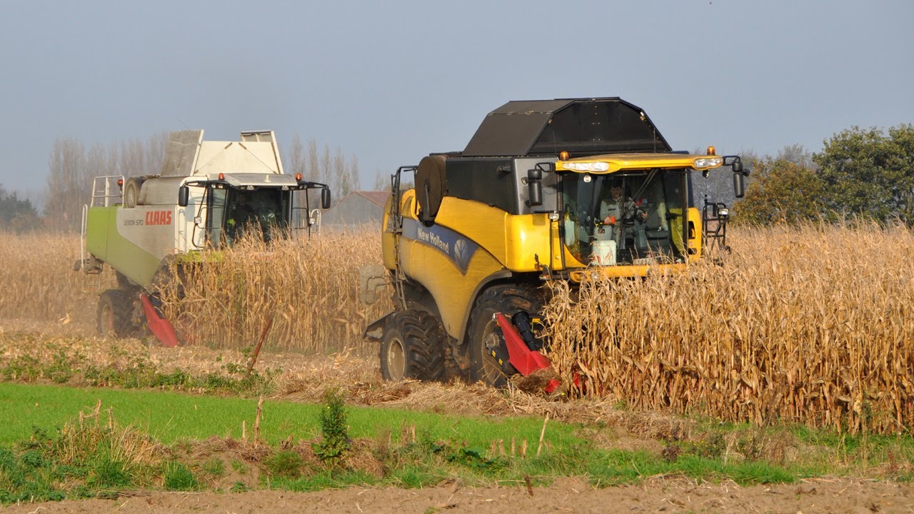 Loonbedrijf Neyt - New Holland CX 8090 & Claas Lexion 570 - mais dorsen