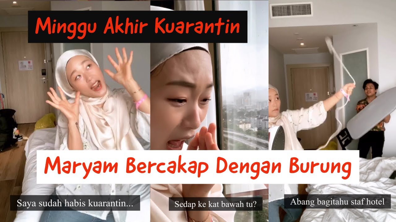 Maryam bercakap dengan burung