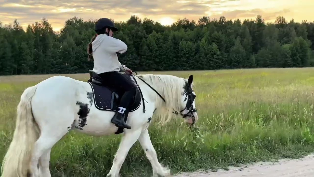 Horsing na grzyby 