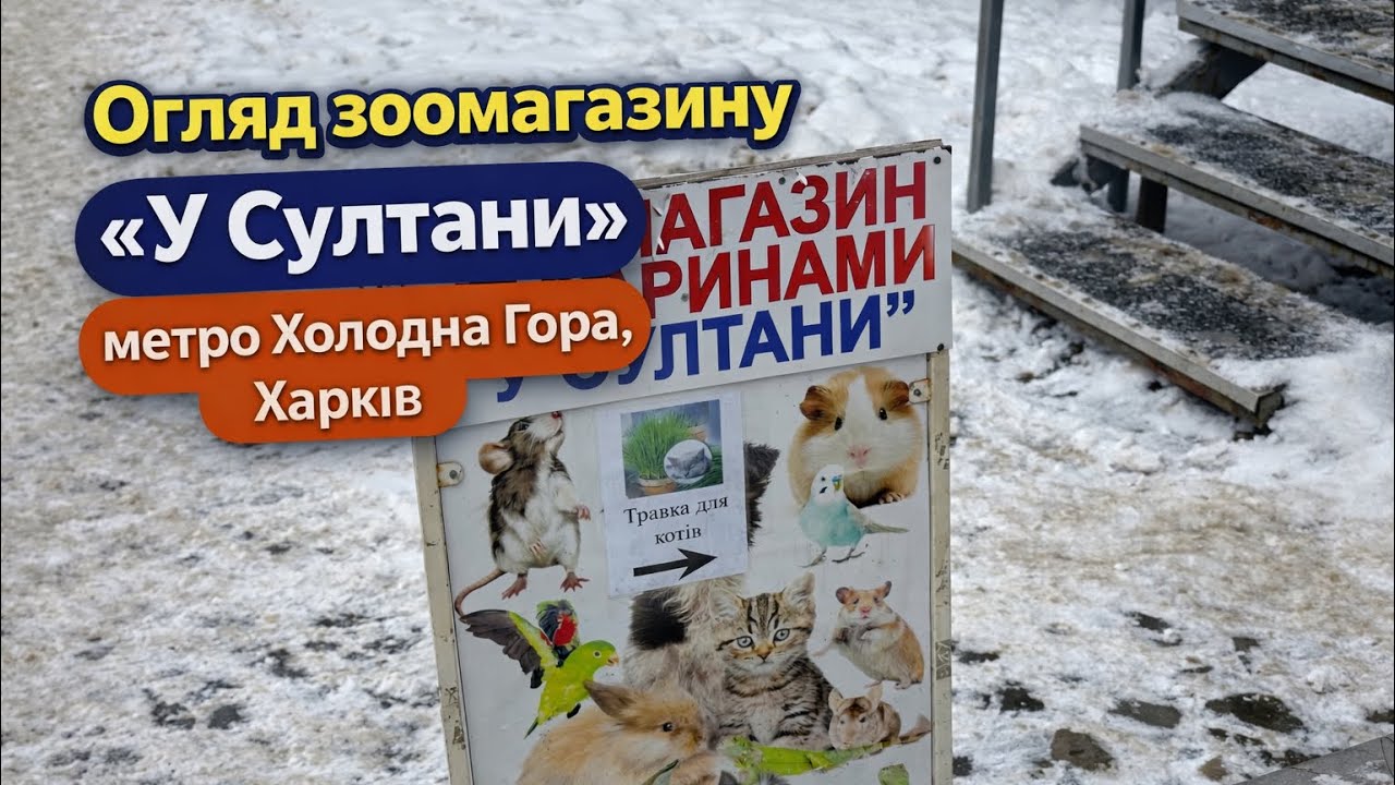 Огляд зоомагазину «У Султани» метро Холодна Гора, Харків