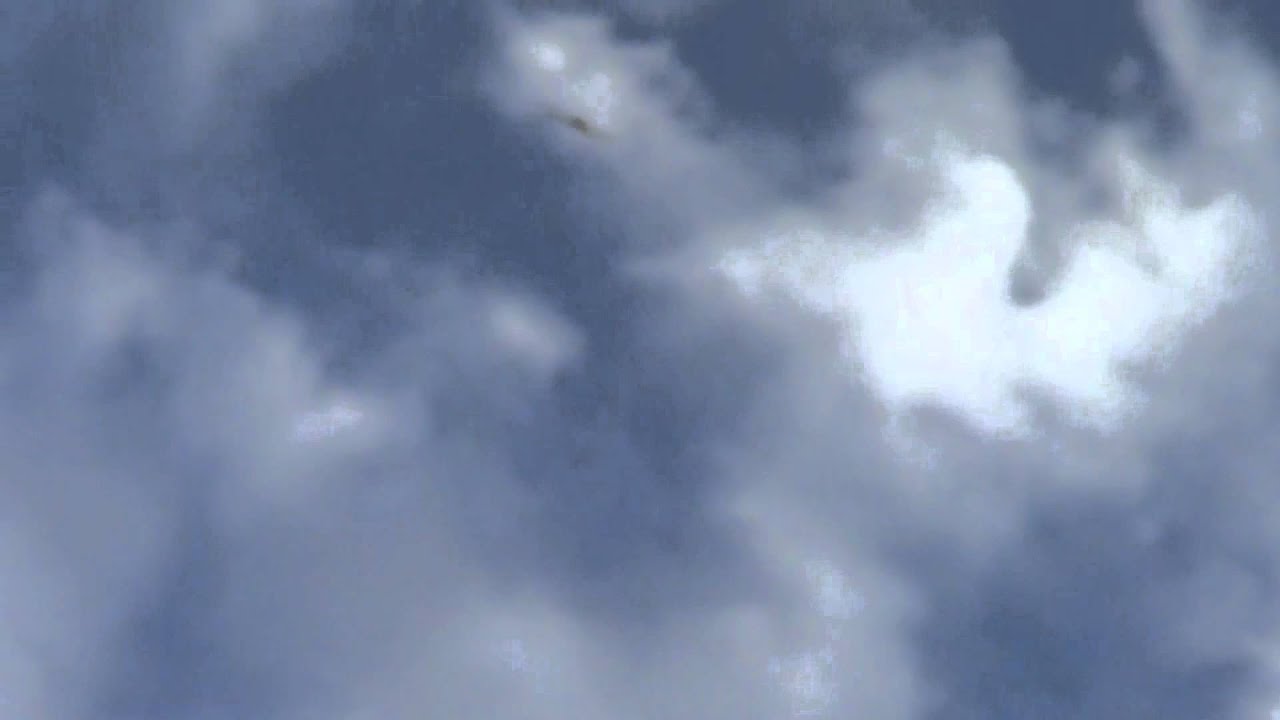 Rittinger Mitsu A6M3 model 22 Radio Controlled Airplane