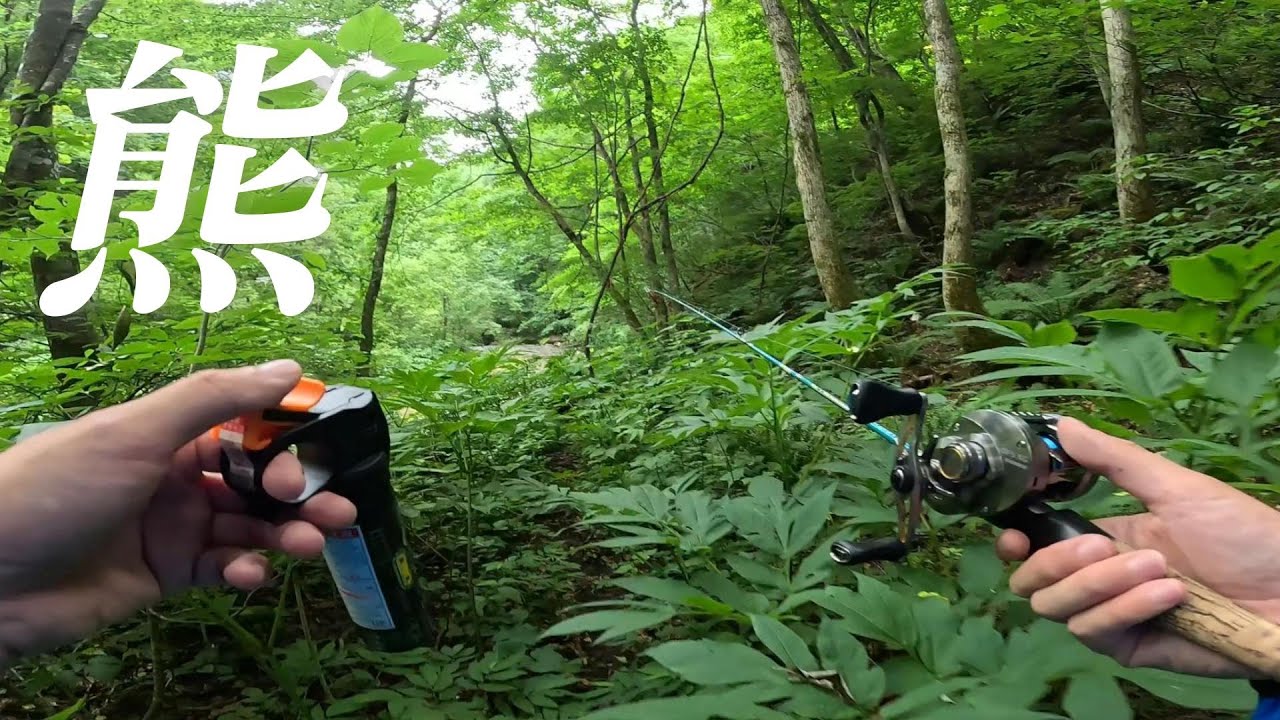 熊と遭遇　山奥からの逃走