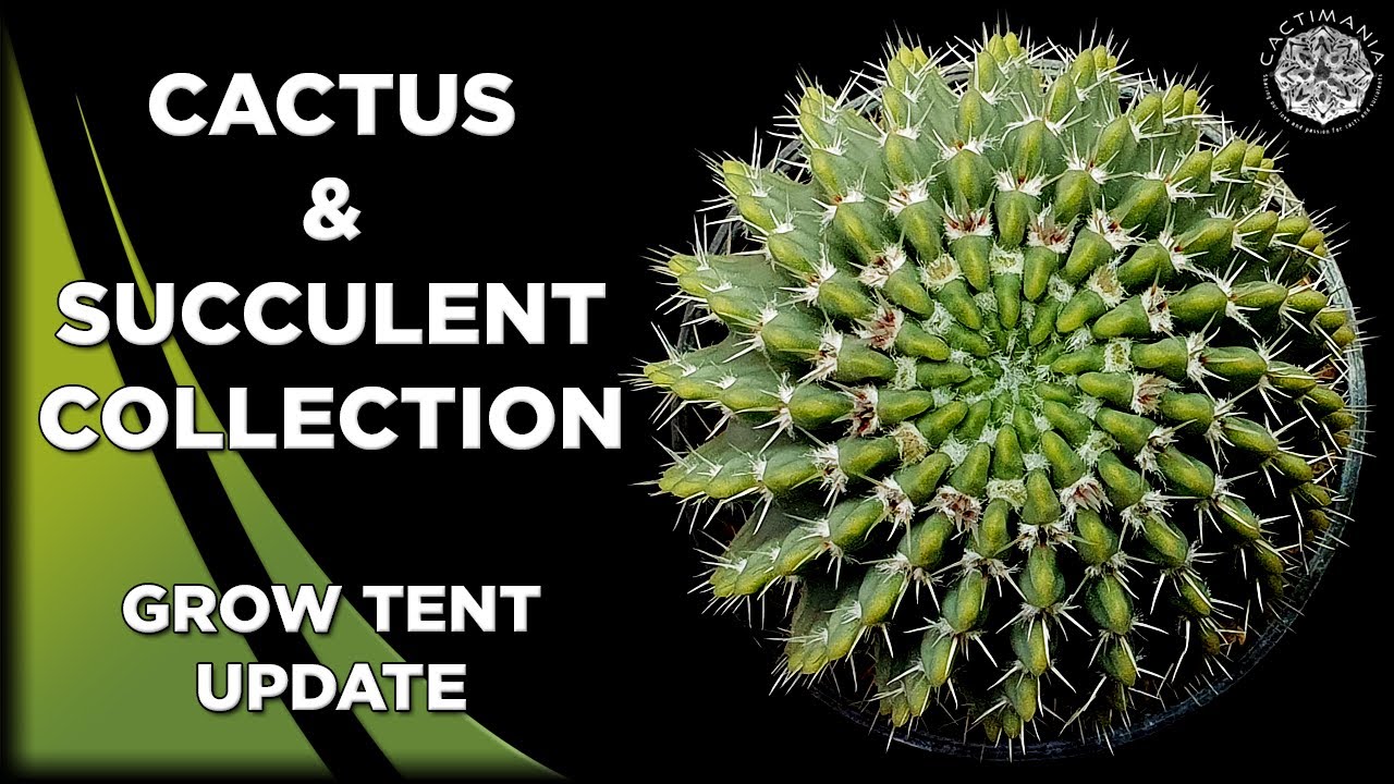 Cactus & Succulent Grow Tent Update | March 2025 | #Cactus & #Succulent Collection
