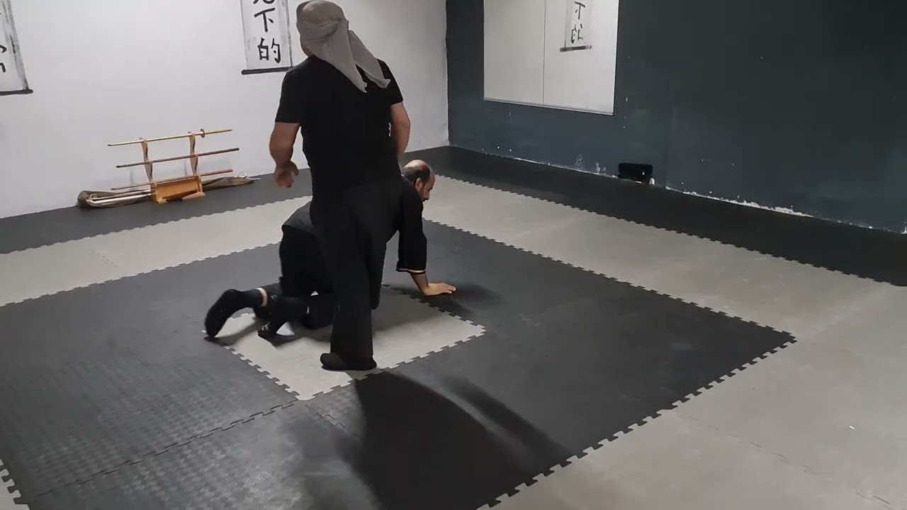 #combatbujutsu #aikijutsu #combataikijutsu #kenpo#aikido#silat #koppojutsu#kansetsuwaza #boks#güreş