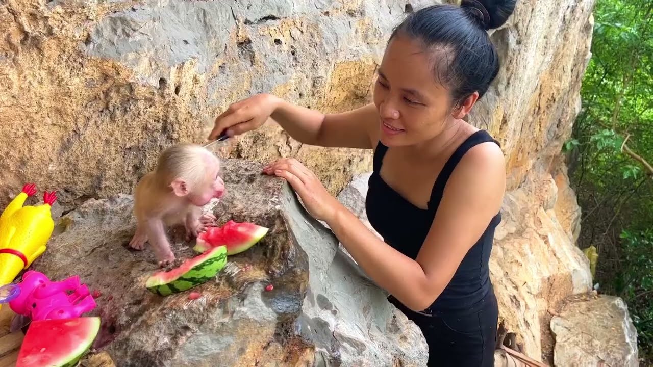 Бедная обезьянка скучала по маме и не хотела оставлять девочку.