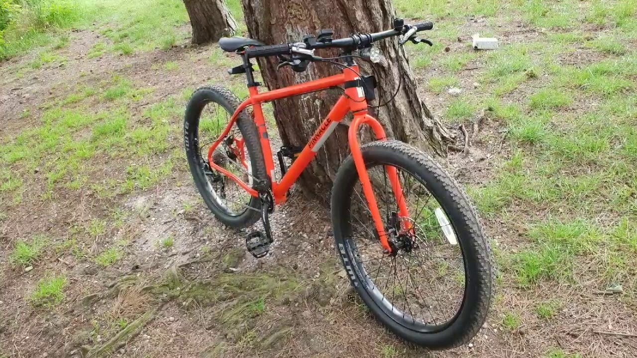 PINNACLE RAMIN 3+ 2017