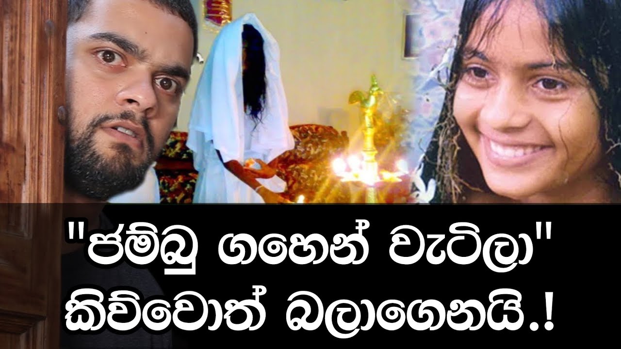 ජම්බු ගහෙන් වැටිලා කියලා කොහොමද කියන්නේ?