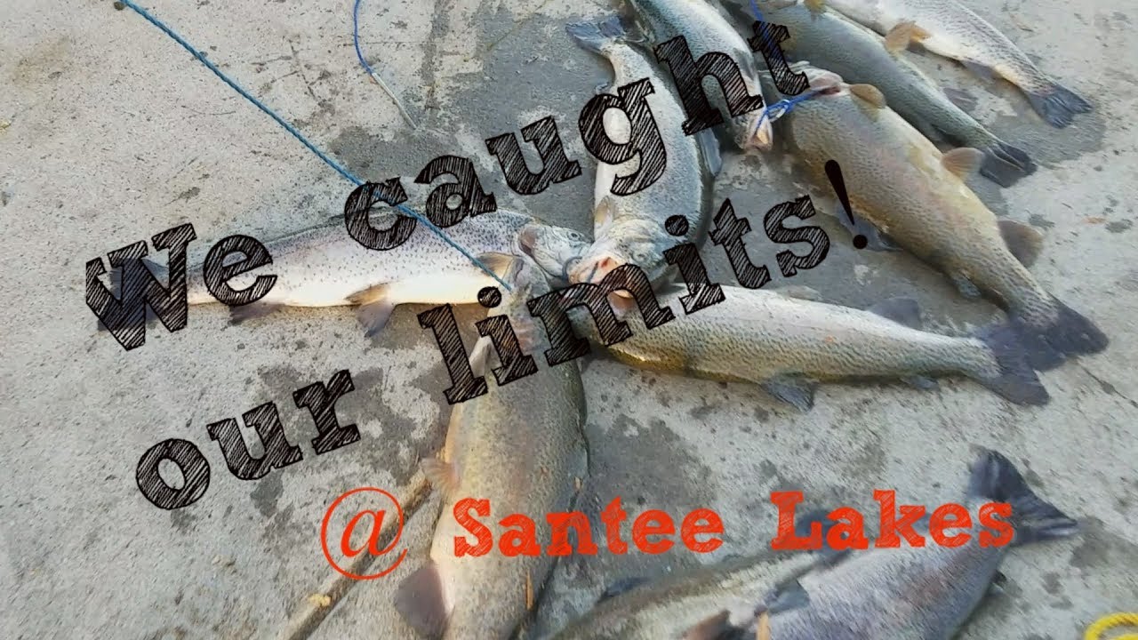 Santee Lakes - We got our limits of TROUT! - Feels good to be back