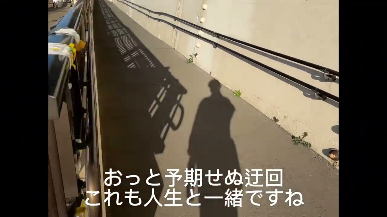 【vlog】お散歩倶楽部の活動記録@すみだ川