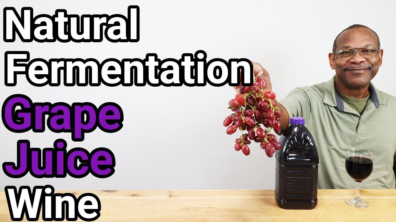 Natural Ferment Grape Juice Wine with Tasting
