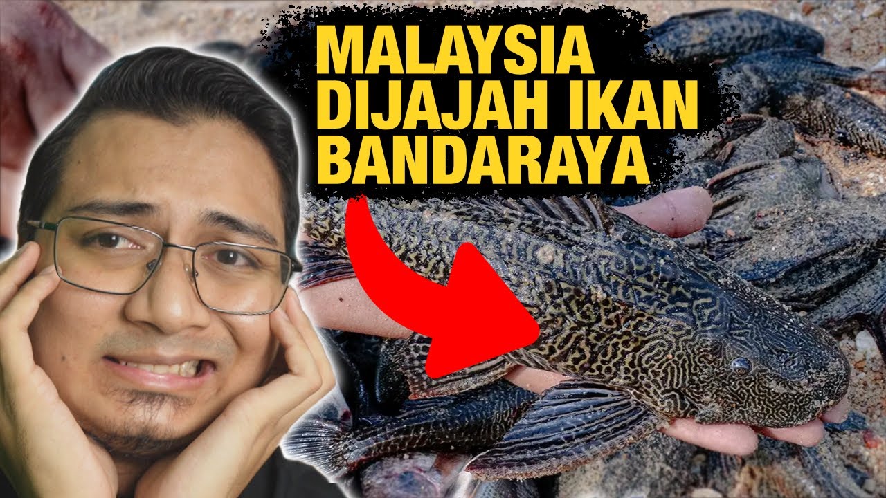 Binatang Penjajah yang Manusia Menyesal Bawak Masuk Negara