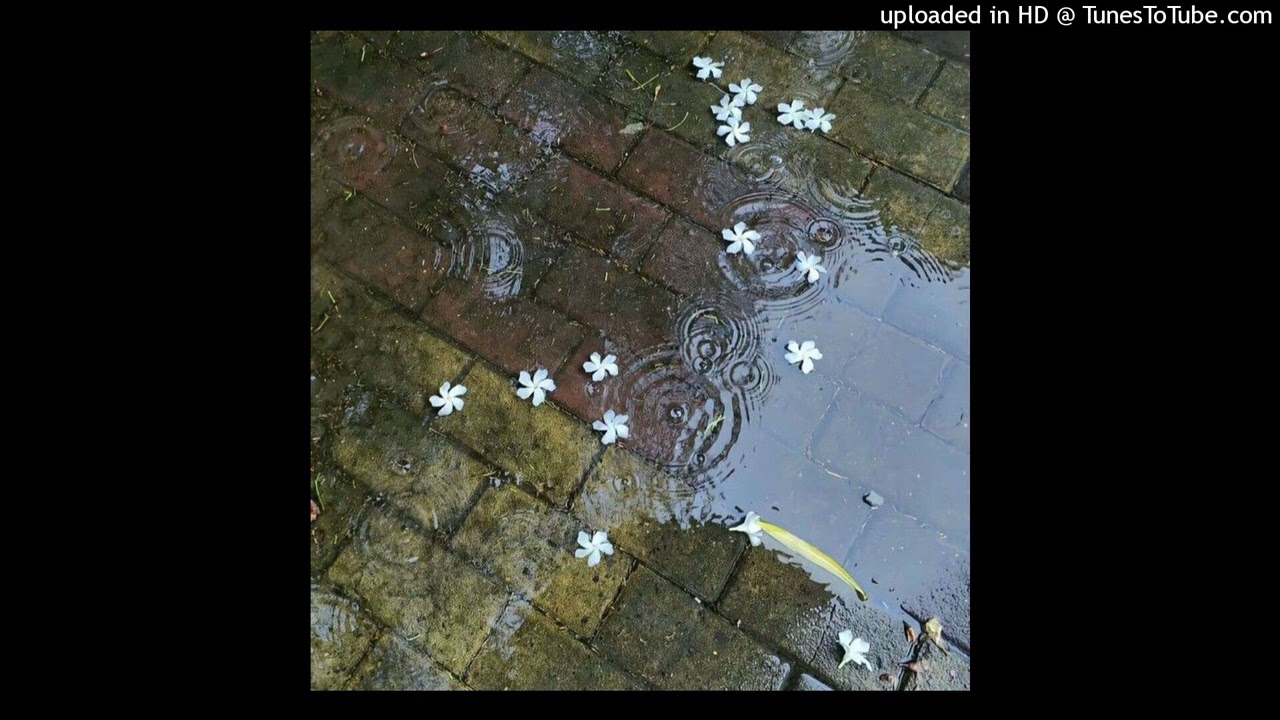 [free] botanica + petalcore + stepteam type beat - ♅summer rain♅
