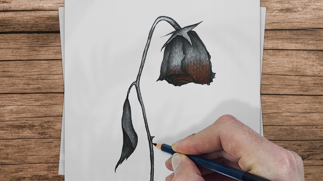 Flower Drawing; HOW TO DRAW A Withered FLOWER || Step-by-Step Tutorial