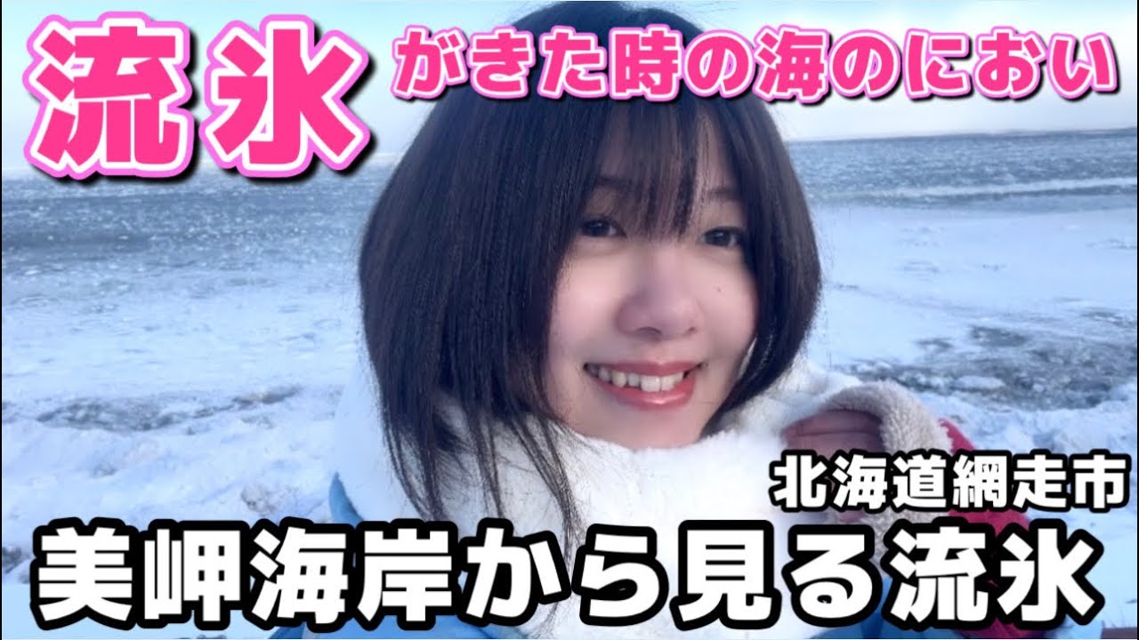 【流氷観光の穴場👀✨】北海道網走市 美岬海岸から見る流氷❄️
