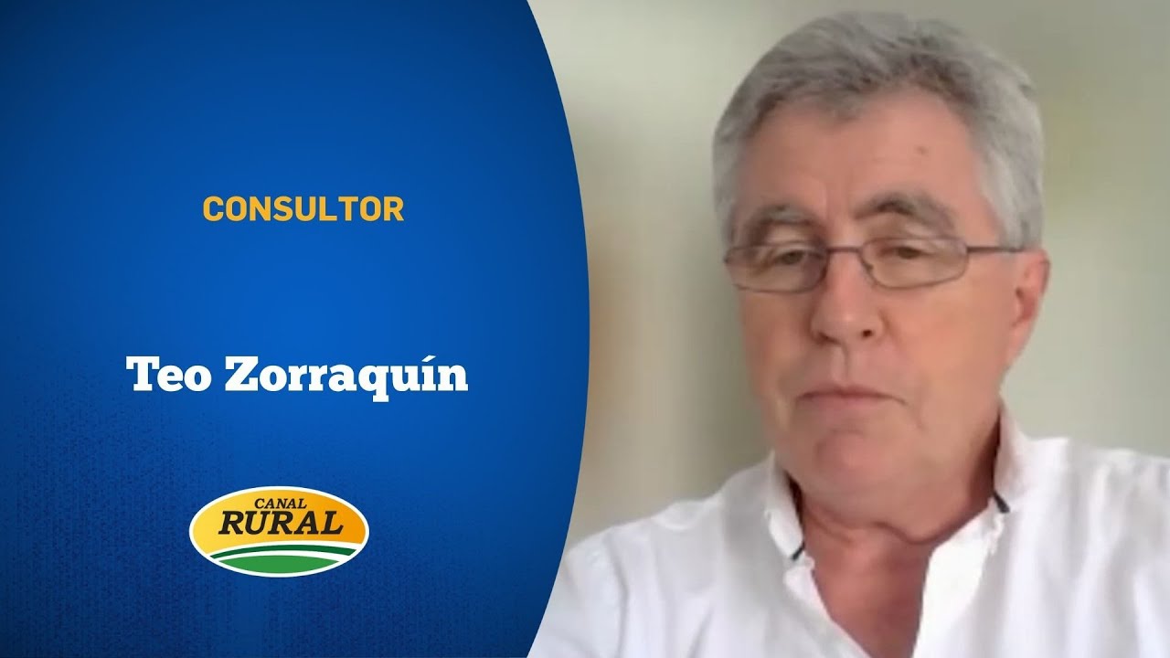 Teo Zorraquin | CONSULTOR | 22 ENE | EDICIÓN CENTRAL