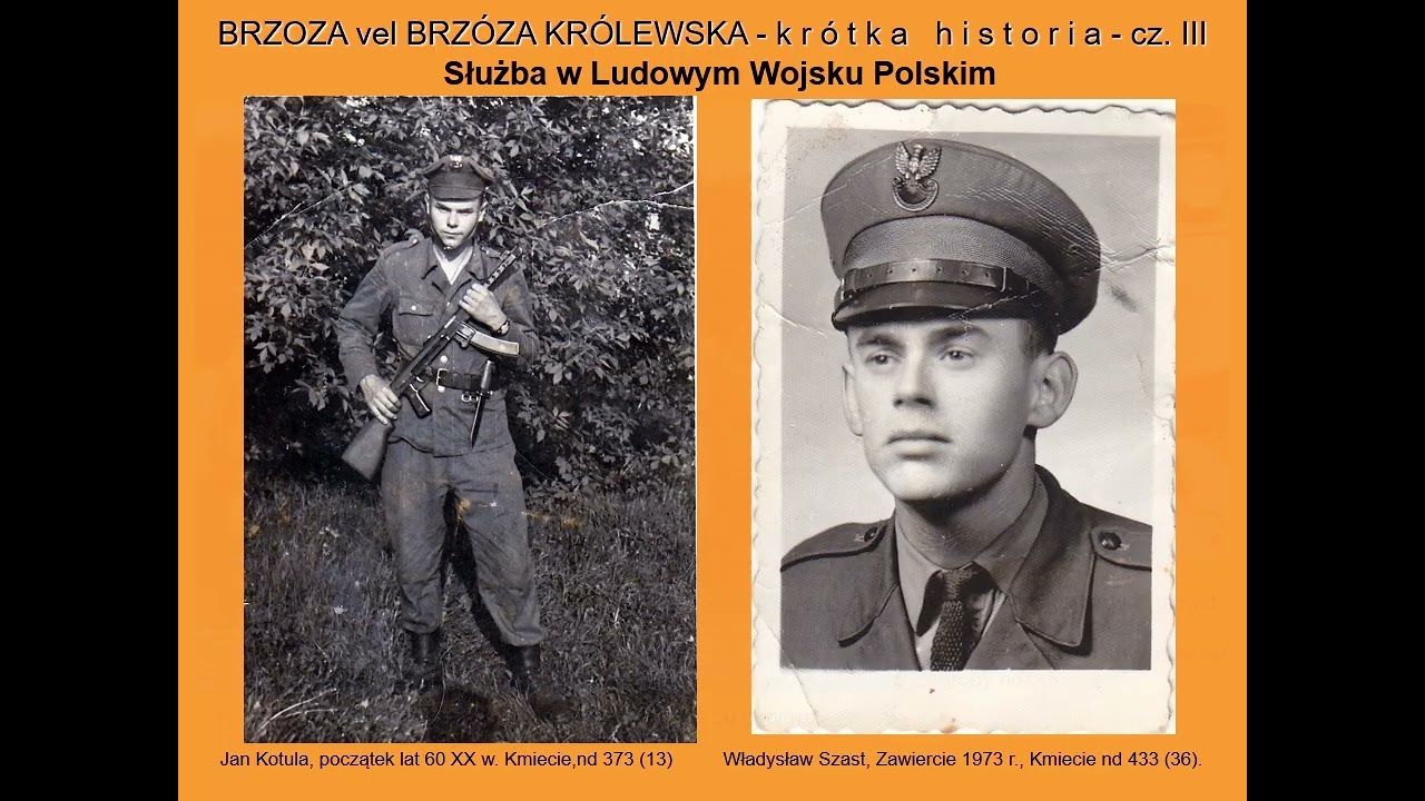 Brzóza Królewska - krótka historia