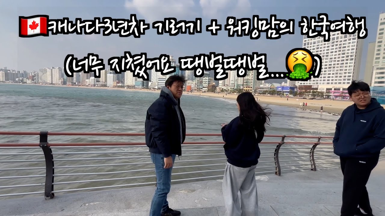 [보보]캐나다살이3년차 워킹기러기맘의 한국방문여행/부산바뮤호텔/통영루지