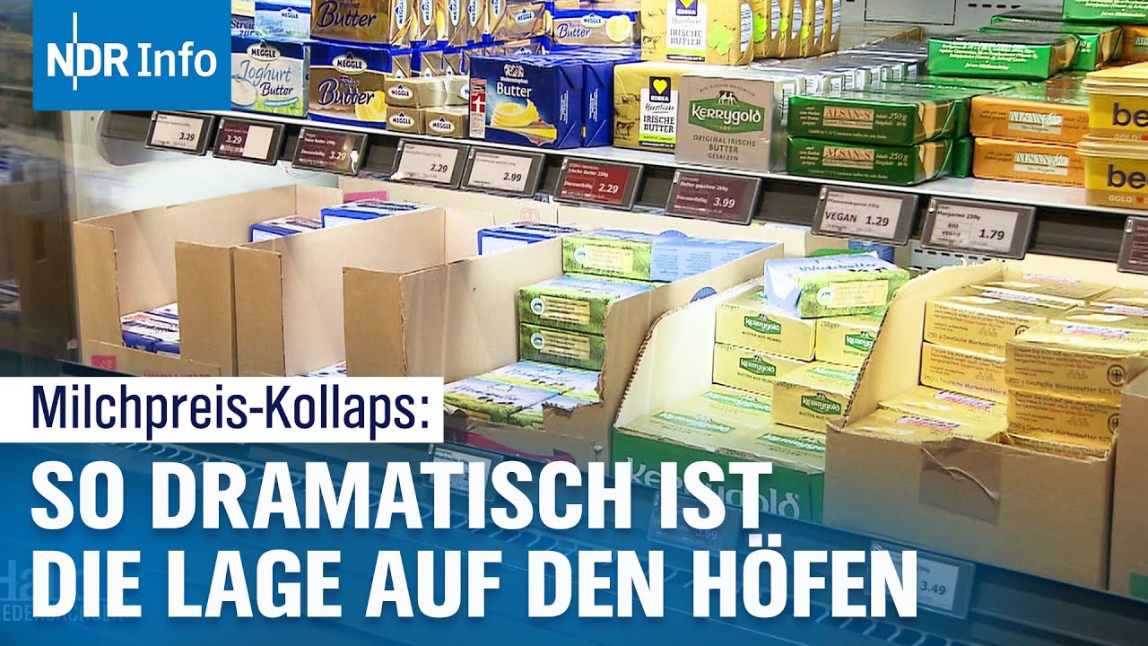 Niedrige Milchpreise: Welche Folgen haben sie für Landwirte? | NDR Info