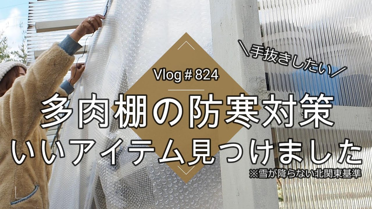 【Vlog824】【多肉植物】手抜きしたい！多肉棚の防寒対策いいアイテム見つけました【－３℃でもノーガード※雪が降らない北関東基準】