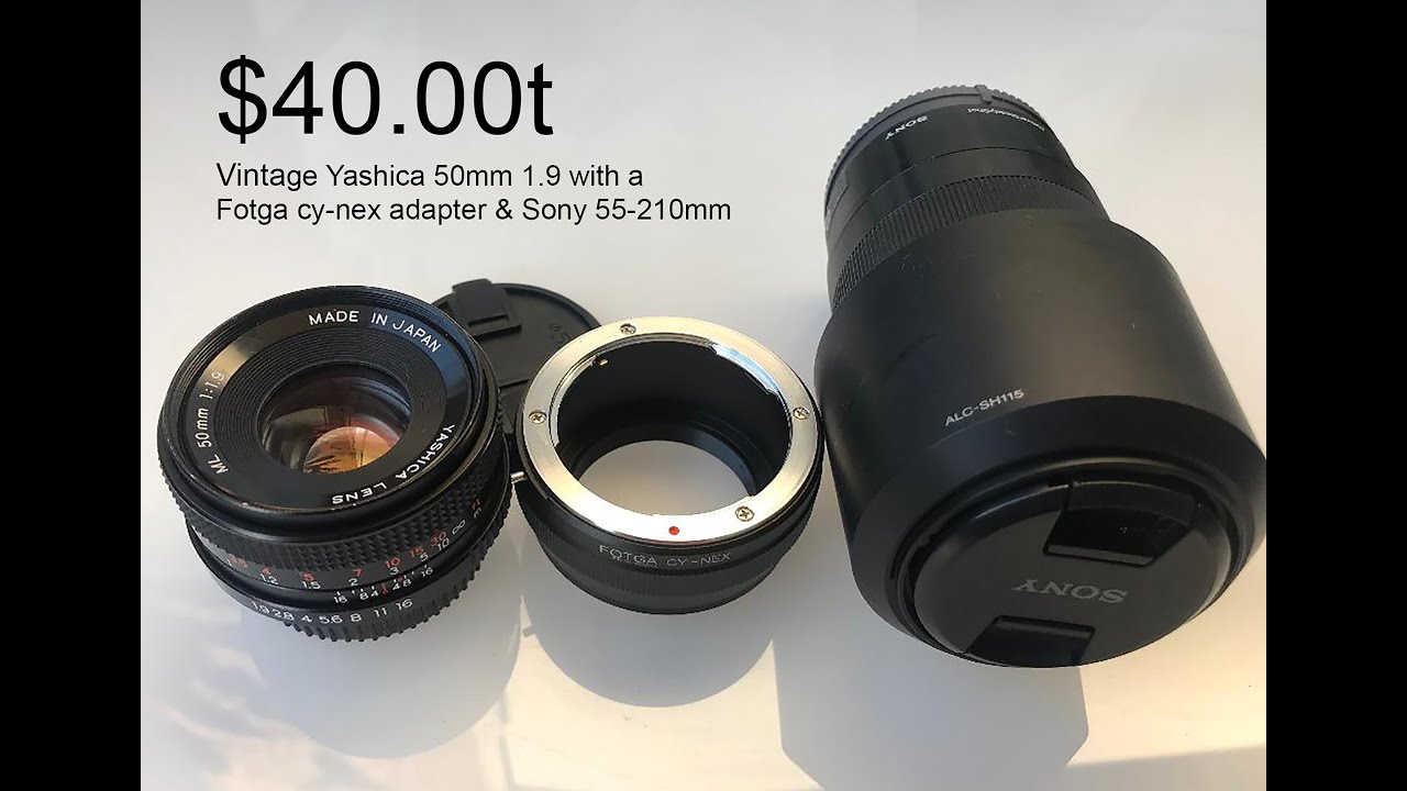 Yashica 50mm F1.9 ML on Sony A7iii using  Fotga Adapter.