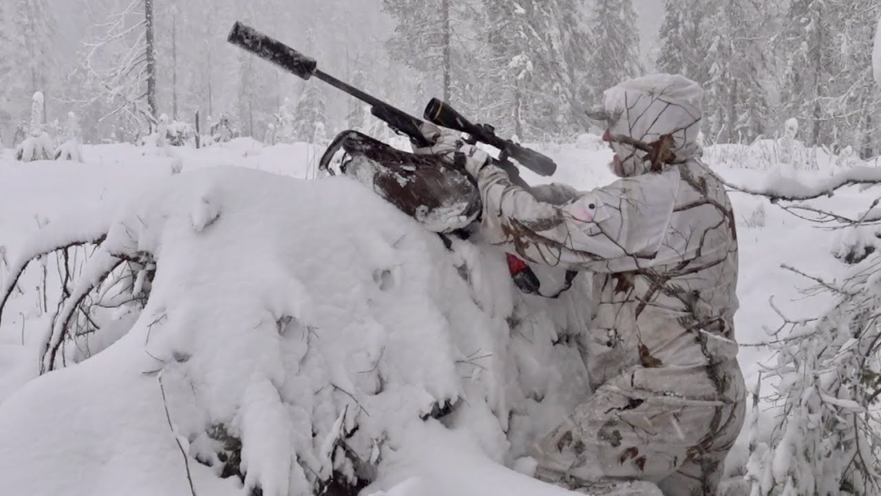 Toppjakt i vinterskog med Kristoffer Clausen. Hunting capercaillie.