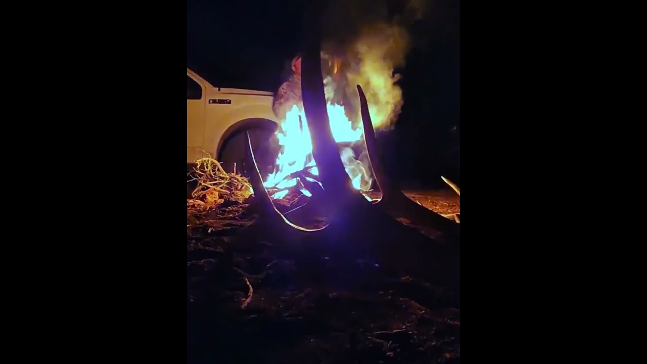 Elk Sheds On  Fire  