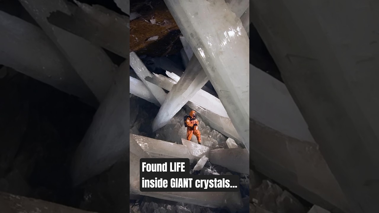 Ancient 'Extremophile' Life Discovered Inside Inhospitable Crystal Cave in Mexico #historicaltidbits