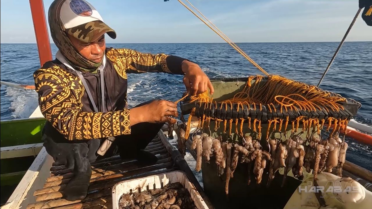 5 Kilong Pugita Pamain sa Kitang