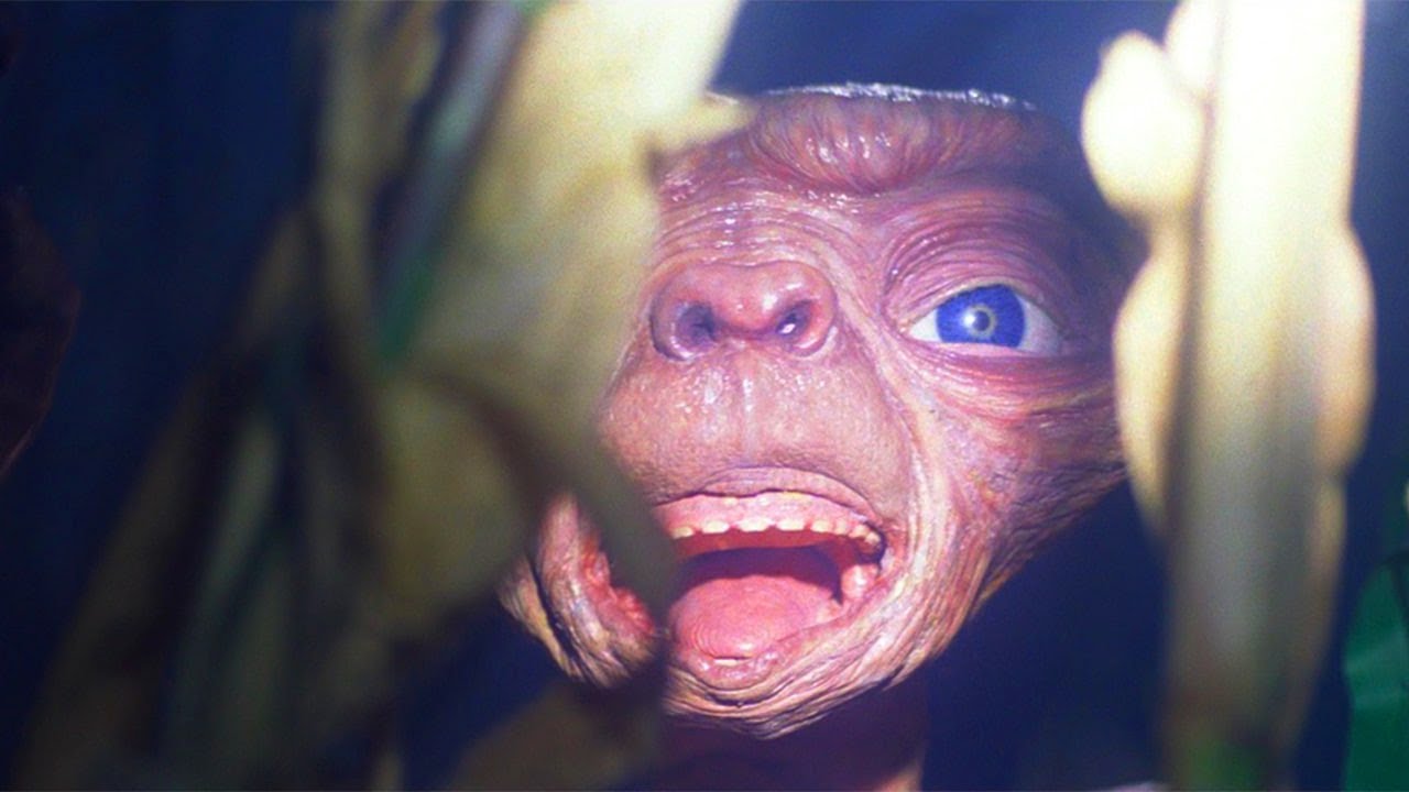 Abandoned On Earth, Alien Runs From Authorities Who Want To Experiment On Him