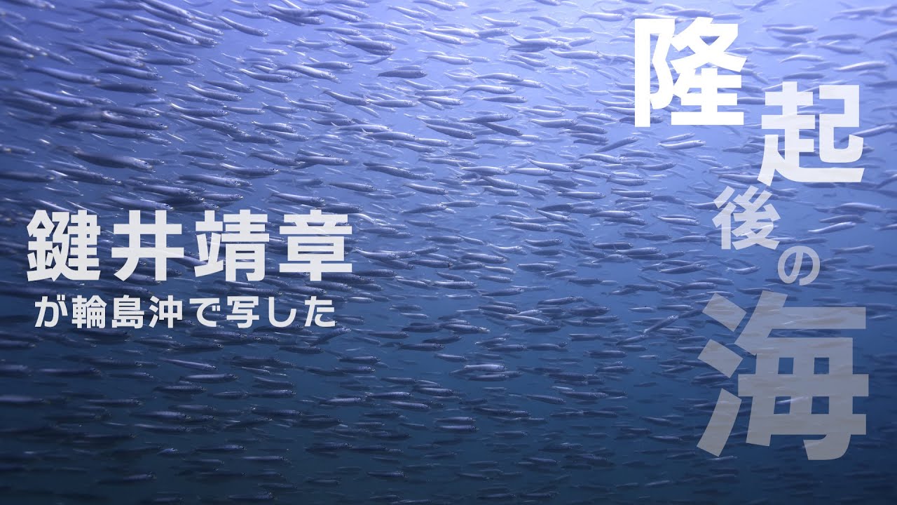水中写真家・鍵井靖章さんが見た能登　輪島沖・隆起後の海　【能登半島地震】Japan earthquake