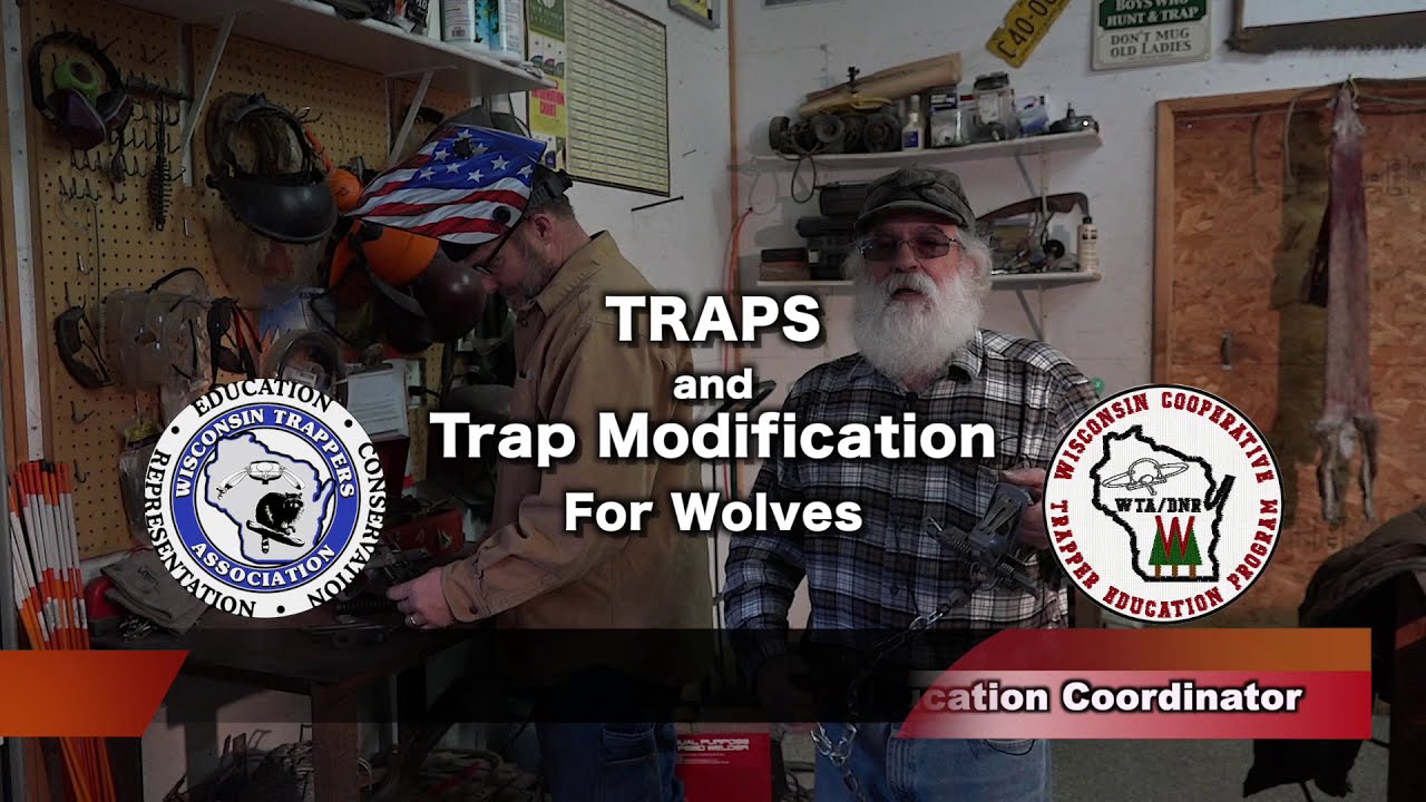 WCTEP: Trap Modifications for Wolves