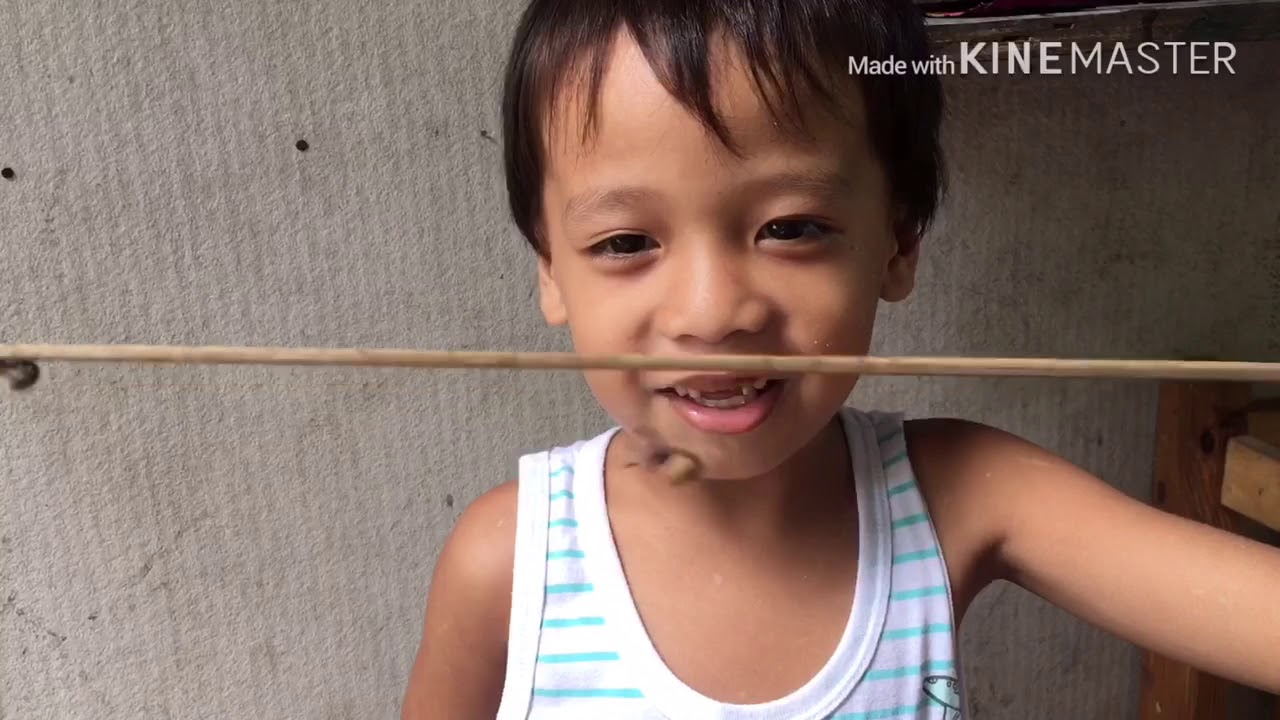 Gagambang Bahay vs. Gagambang Toto