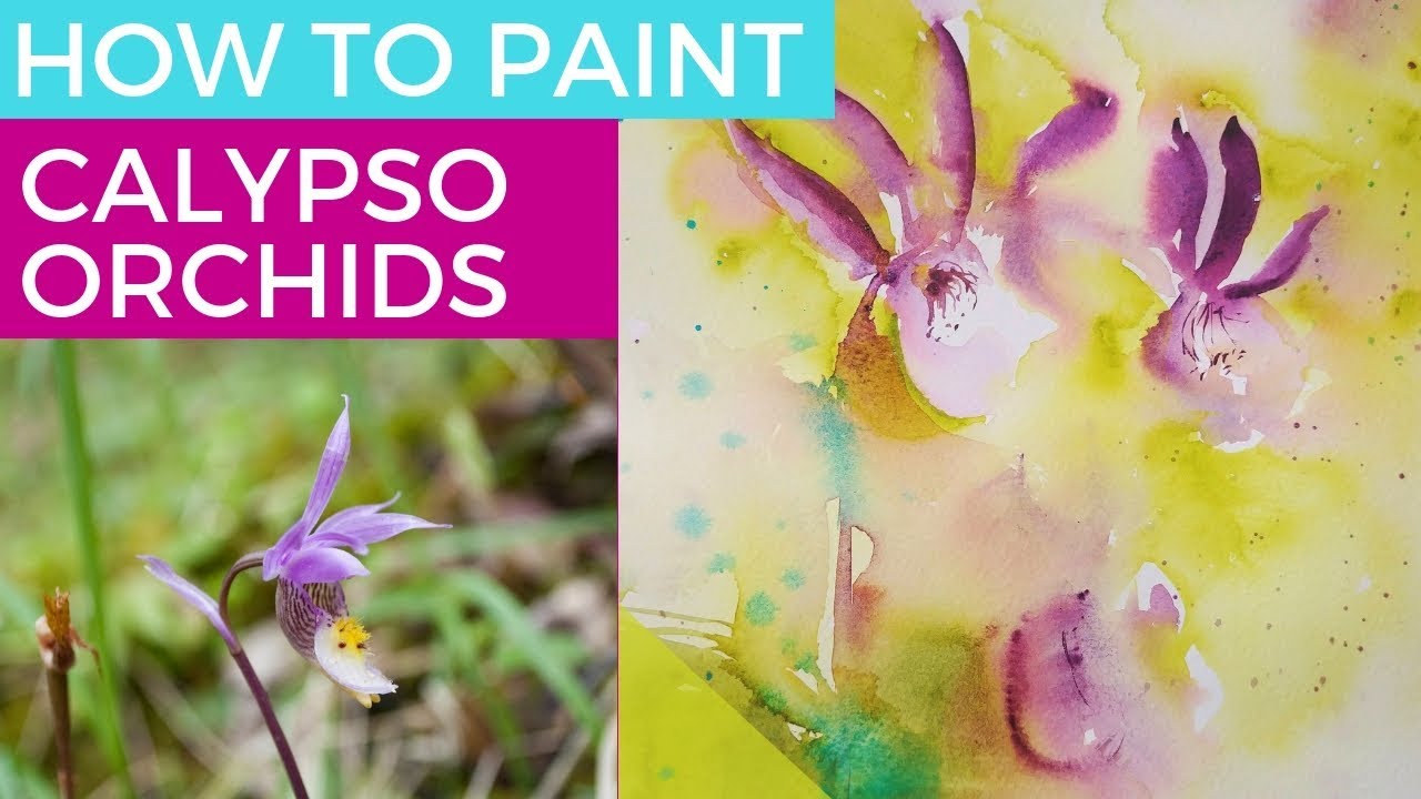 Paint a Loose Calypso Orchid in Watercolor: Full Length Watercolor Lesson