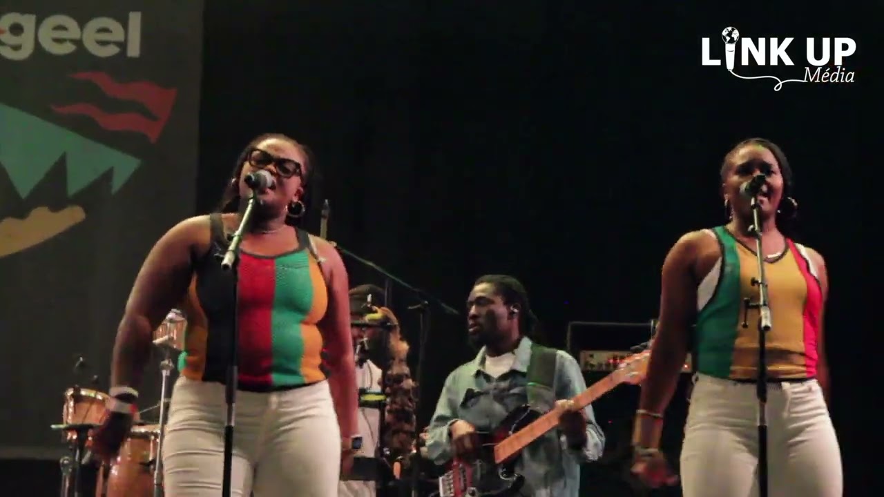 Reggae geel festival édition 2024