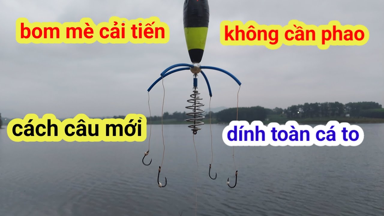 Bom mè không cần phao, cách câu mới cho hồ nhiều cá mè con #câucámè