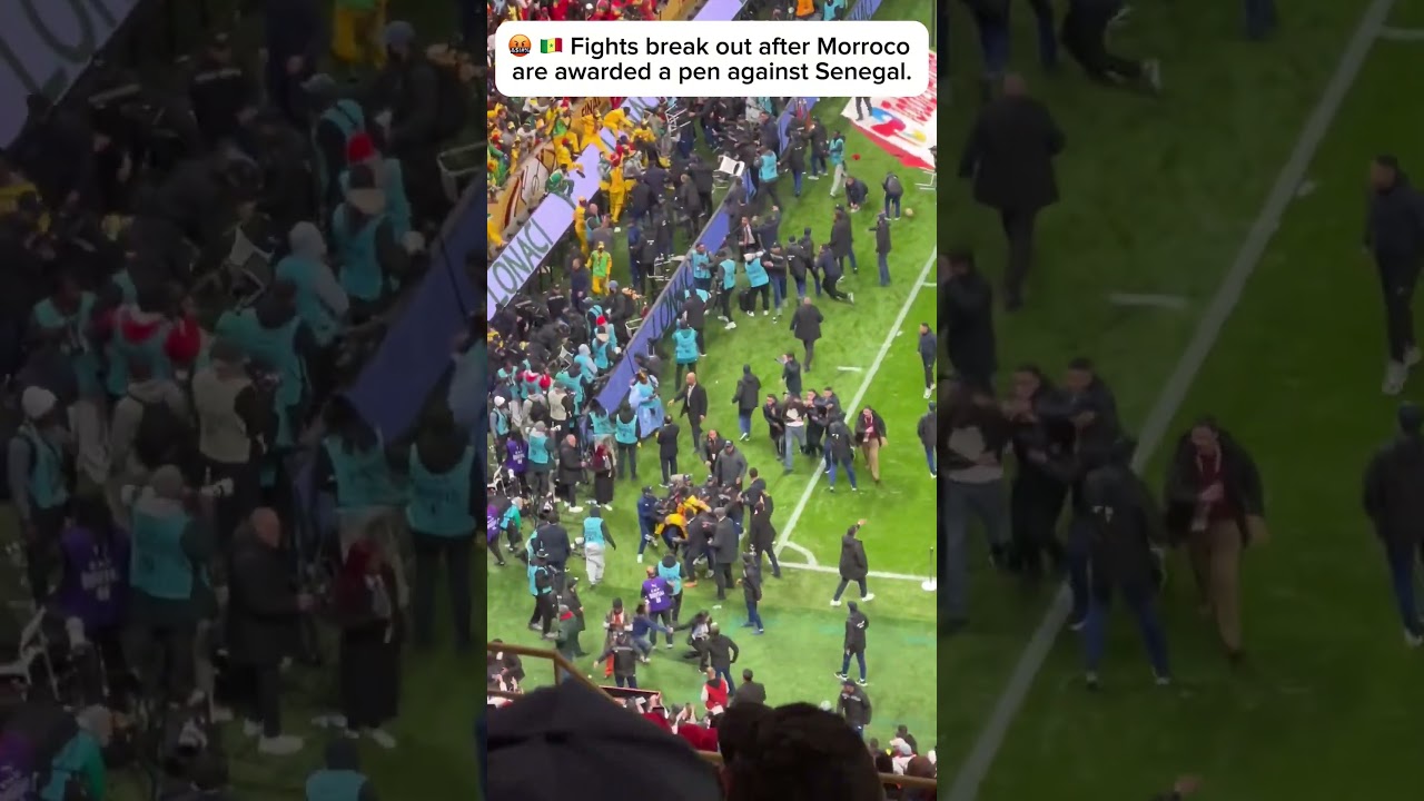 🤬 Fights break out between Senegal and Morocco fans! | #football #afcon #senegal #morroco