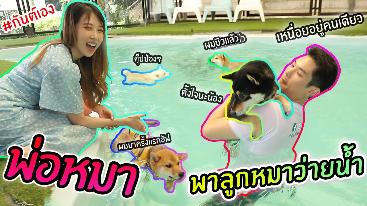 กันต์เอง - พ่อหมาพาลูกหมาว่ายน้ำครั้งแรก