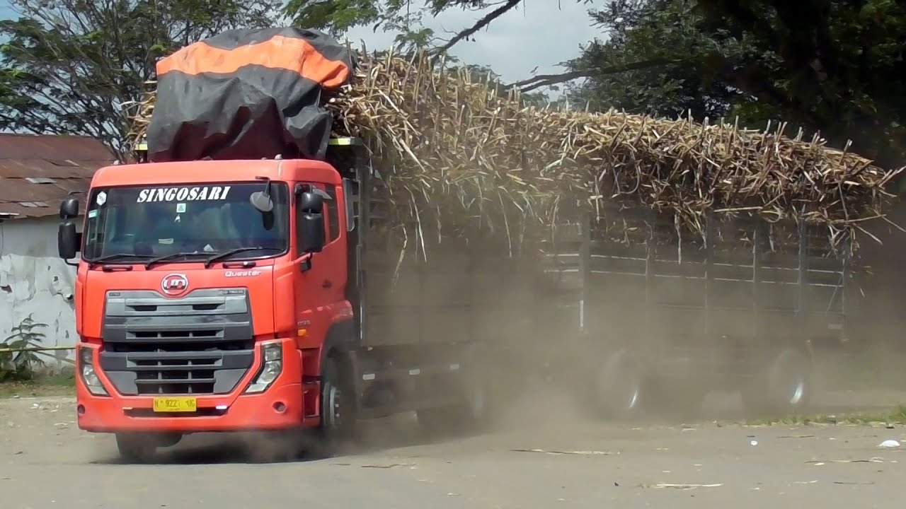Aktivitas Truk Gandeng Tebu di Jawa Timur | Musim Giling 2025