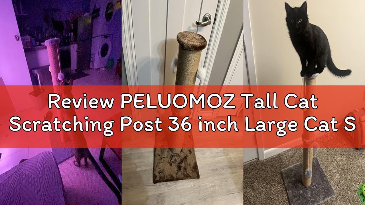 Review PELUOMOZ Tall Cat Scratching Post 36 inch Large Cat Scratch Post for Indoor Cats with Durable