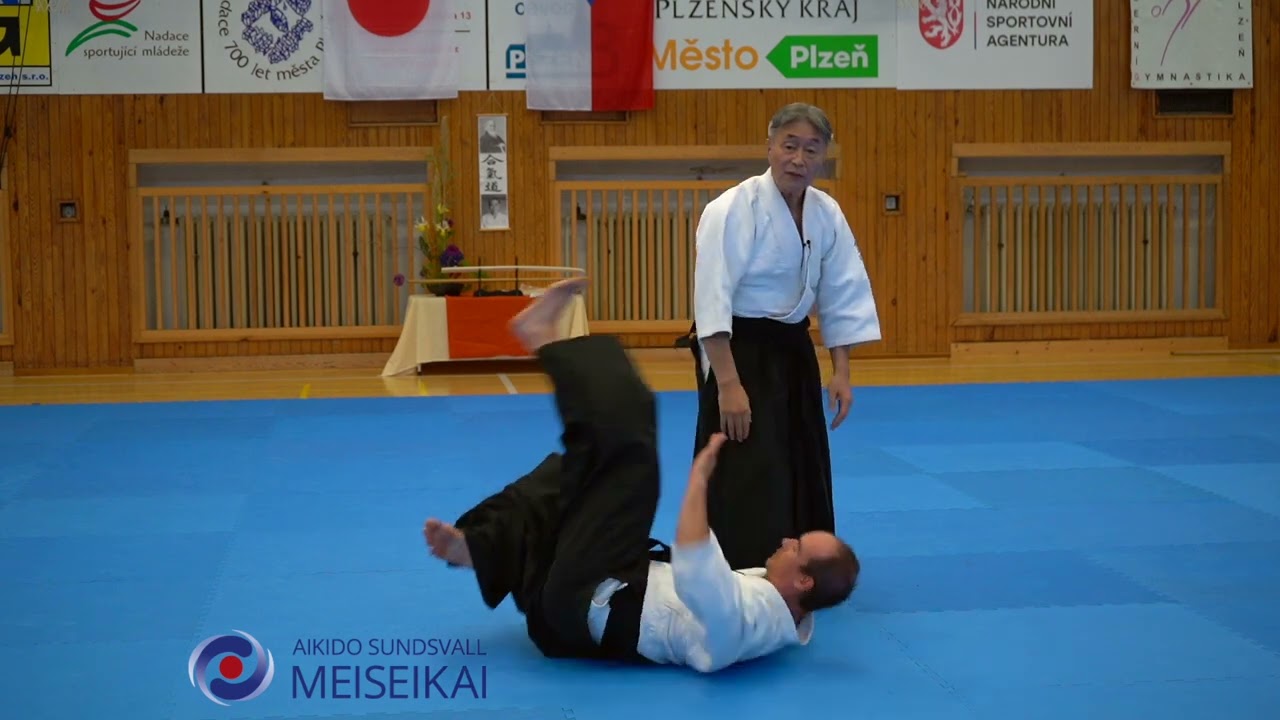 Aikido Ai Hanmi Iriminage Shishiya Sensei Pilsen 2023