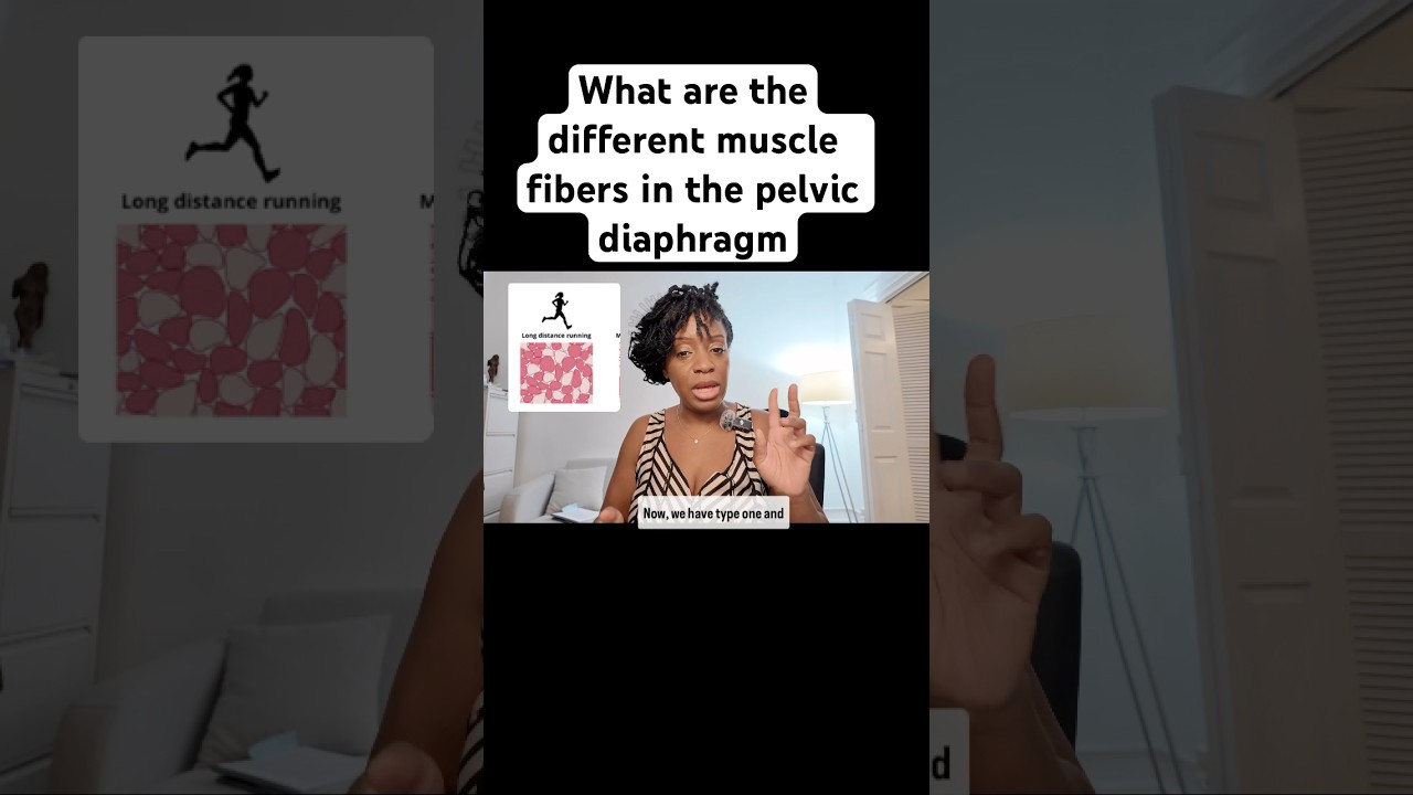 Type 1 /Type 2 Muscle Fibers maintain posture, support organs & react during coughing.