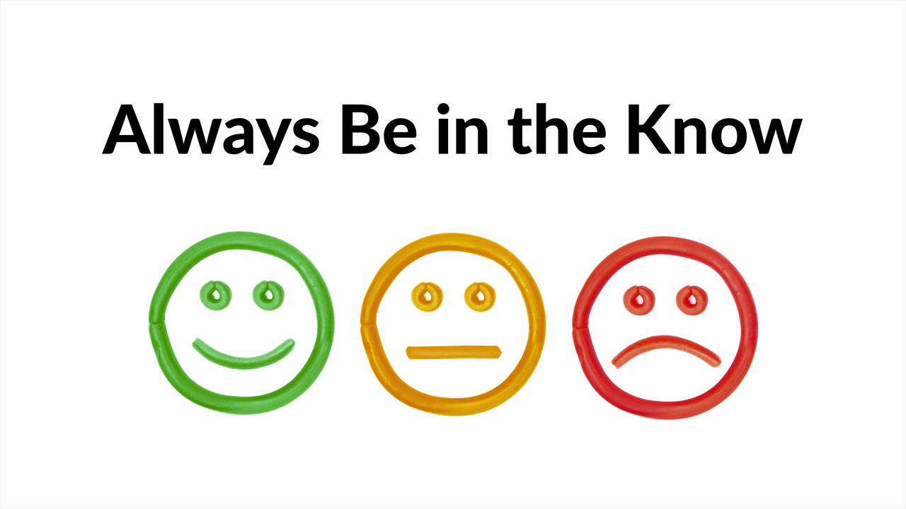 02 -  Creating an Effective Feedback Process