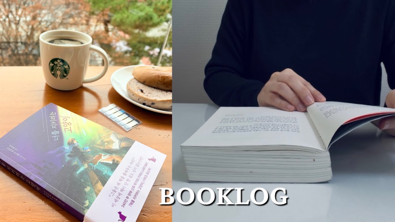 30년 넘게 살아남은 소설!ㅣ시리즈 소설 중독자의 추천ㅣ벽돌책ㅣ책추천ㅣ독서브이로그